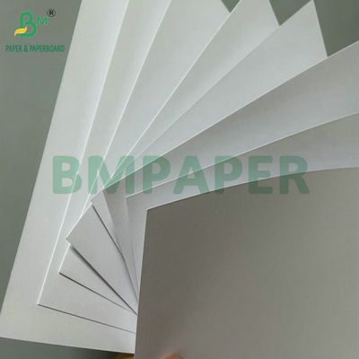 Mükemmel Pürüzsüzlük 100 gram 120 gram Ofset baskı için kaplamamış ahşapsız kağıt 71cm rulo