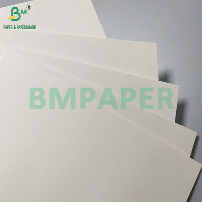 260gsm + 18PE Mat Kaplı Gıda Yağ geçirmez Kağıt Kağıdı Tek kullanımlık Kağıt bardak ve kase yapmak için
