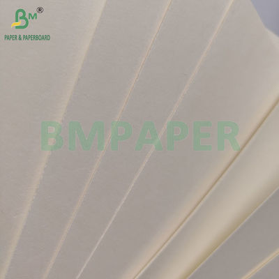 230gsm+18pe Tek kullanımlık P2S Mat Cup Kağıdı Sıcak/Soğuk İçecek İçmek için