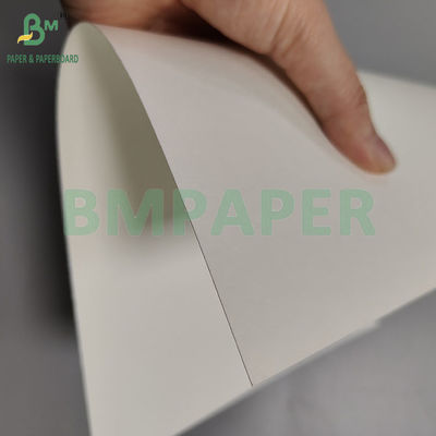 230gsm+18pe Tek kullanımlık P2S Mat Cup Kağıdı Sıcak/Soğuk İçecek İçmek için