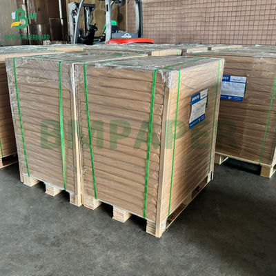 Yapışkan olmayan 40GSM Parşömen Barbekü Tepsisi Kaplamaları için Pastırma Kağıdı 470 x 740mm