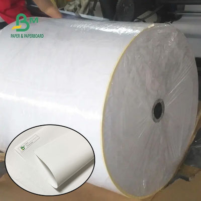 55 gram 790 mm 795 mm makbuz Termal Kağıt Jumbo Roll