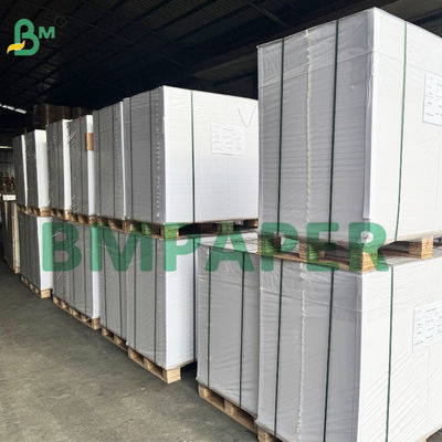 Fırın Güvenli Yüksek Sıcaklığa Dayanıklı Gıda Paketleme Silikon Kağıdı