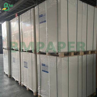 240g Beyaz Bardak Kağıdı % 100 Ahşap Pulp ve Bardak için kaplamamış