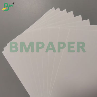 Yüksek Beyaz Absorbent Blotter Kağıdı Kaplamamış 1mm 2mm 700 * 1000mm