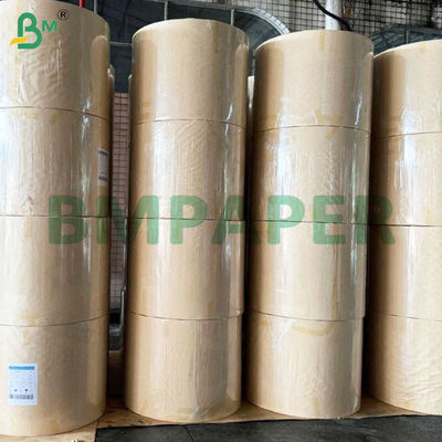 135-350gm Çift taraflı Yumuşak PE kaplı bardak stok kağıt