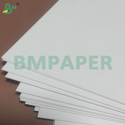 135-350 GSM Yüksek Sıkılıklı Gıda Konteyneri Kağıt Kabınları için Kağıt Rulo
