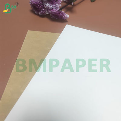 135-350 GSM Yüksek Sıkılıklı Gıda Konteyneri Kağıt Kabınları için Kağıt Rulo