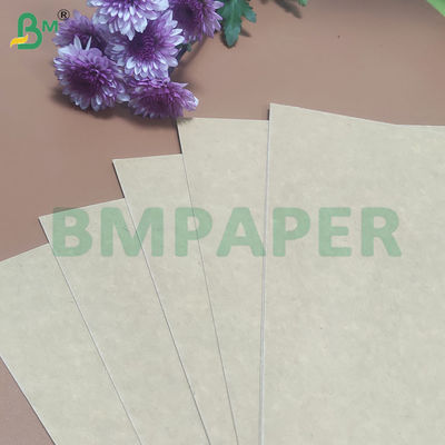 135-350 GSM Yüksek Sıkılıklı Gıda Konteyneri Kağıt Kabınları için Kağıt Rulo