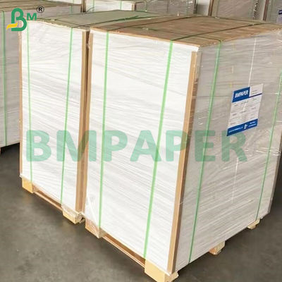 135-350 GSM Yüksek Sıkılıklı Gıda Konteyneri Kağıt Kabınları için Kağıt Rulo