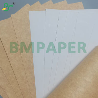 215 - 350g Tek taraflı kaplı gıda sınıfı beyazlatma kartı 770 * 1100mm
