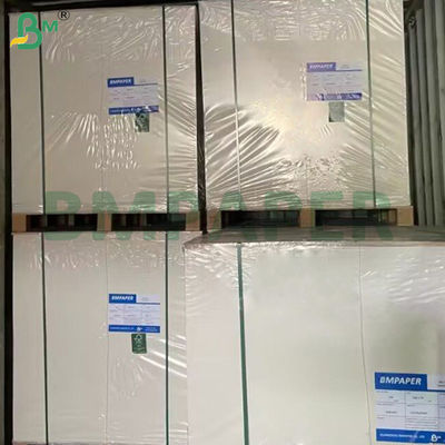 350 g kaplı kaplama tahta C1S Gıda sınıfı bakire ahşap hamur kartı