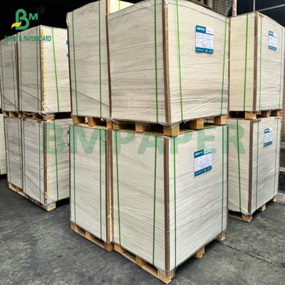 300g 350g Beyaz Kaplı Katlanabilir Karton Karton Yüksek Kaliteli Baskı için 65 X 90cm