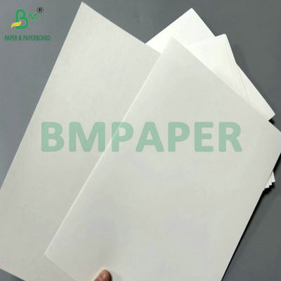 300g 350g Beyaz Kaplı Katlanabilir Karton Karton Yüksek Kaliteli Baskı için 65 X 90cm