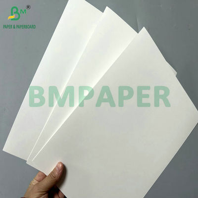 300g 350g Beyaz Kaplı Katlanabilir Karton Karton Yüksek Kaliteli Baskı için 65 X 90cm