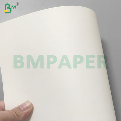 PE kaplı sızıntı geçirmez bardaklar İçme için stok kağıt ruloları 190gm+10gm