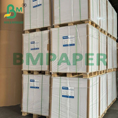 280g Cup Stock Paper Board Tek taraflı PE kaplı Gıda sınıfı kart