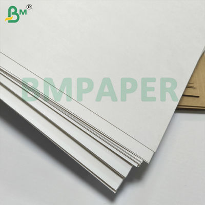 BMPAPER Sıvı Kanıtlı Beyaz & Kahverengi PE kaplama ile laminatlı Cupstock Kağıdı
