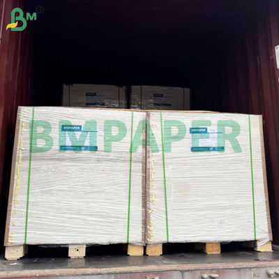BMPAPER Sıvı Kanıtlı Beyaz & Kahverengi PE kaplama ile laminatlı Cupstock Kağıdı