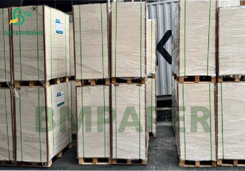 300g 350g 900mm 1000mm Gıda Paketi Kutusu için Gıda Kaliteli SBS Kağıdı