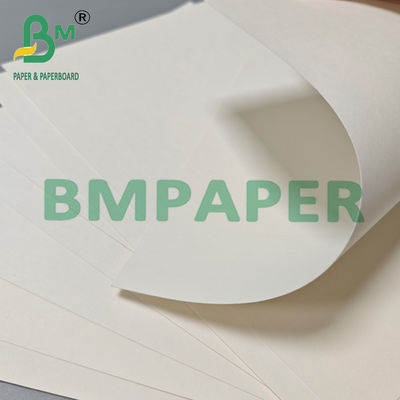 210gm 230gm Biyolojik olarak parçalanabilir sıcak kahve çay bardağı kağıdı ham madde