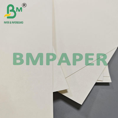 210gm 230gm Biyolojik olarak parçalanabilir sıcak kahve çay bardağı kağıdı ham madde