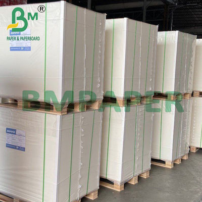 250g + 20g Cup Base Kağıt Tek Yanlı PE Kaplı Karton 70 * 100cm