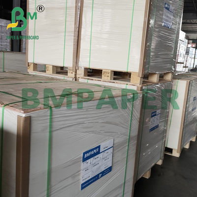 250g + 20g Cup Base Kağıt Tek Yanlı PE Kaplı Karton 70 * 100cm
