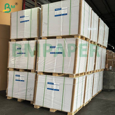 70gm 80gm Yüksek Hızlı Beyaz Baskı Egzersiz Kitabı için Ahşapsız Kağıt