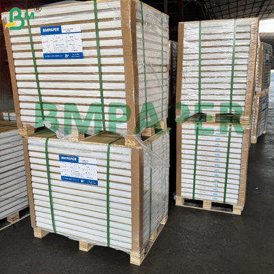 9 1/2 &quot;X 5 1/2 &quot; Premium Karbonsuz Bilgisayar Kağıdı Beyaz + Renkli