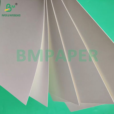 210gm 230gm 15g PE Mat Kaplama Beyaz Bardak Kağıdı Kahve bardağı yapmak için