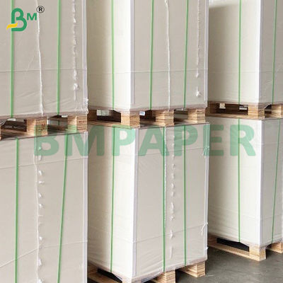 80gm 44cm Genişliği Ekolojik dostu NCR Karbonsuz Kağıt Jumbo Roll'larda