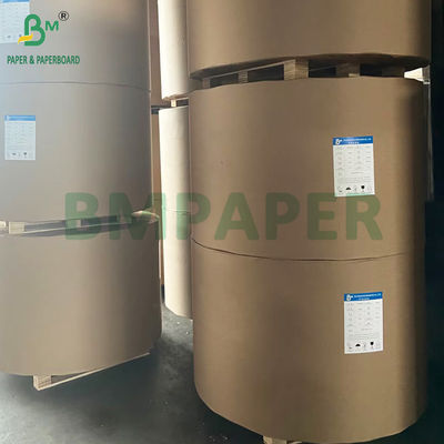 Dondurulmuş Gıda Kağıdı 275gm Beyaz Karton 15g Nemden Koruma PE Parlak Kaplama