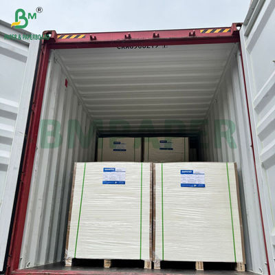 240g +15PE Kaplı 1 Yan Cupstock Kağıdı İçme Kupaları için 31 x 43 inç Su geçirmez 100%