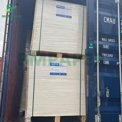330gm 300gm Beyaz Sülfat Karton C1S Fildişi Karton 700x1000mm