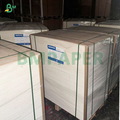 Gıda Tepsileri Yapmak İçin 315gm Yüksek Sıcaklığa Dayanıklı PET Karton