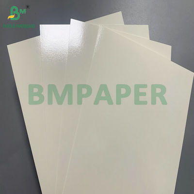 Sıcaklığa dayanıklı PET 315gm kaplı Beyaz Karton Gıda Konteyneri yapmak için