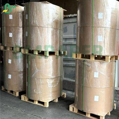 PET yağ geçirmez su geçirmez beyaz tek taraflı kaplı kağıt karton 200gm 300gm 400gm Mikrodalgalama yemek kutuları için