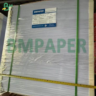 Bardak ve Kaplar İçin Su Geçirmez Gıda Sınıfı PE Kaplamalı Kağıt 230gsm