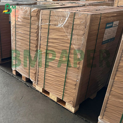 Bardak ve Kaplar İçin Su Geçirmez Gıda Sınıfı PE Kaplamalı Kağıt 230gsm