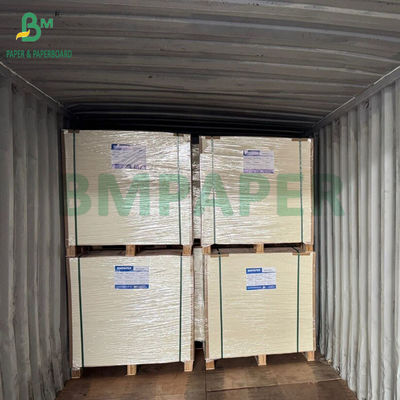 Yüksek Sertlikte 275gsm + 15g PE Kaplamalı Dondurulmuş Gıda Ambalaj Kağıdı 635 X 902mm