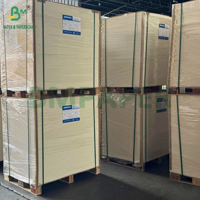 Yüksek Sertlikte 275gsm + 15g PE Kaplamalı Dondurulmuş Gıda Ambalaj Kağıdı 635 X 902mm