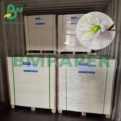 200/230/300gr Doğal Beyaz Su Rengi Kağıdı Sanat Baskı için A4 A3