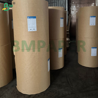 360mm 380mm 50gsm Konik Kahve Filtresi için Kahve Filtresi Kağıdı