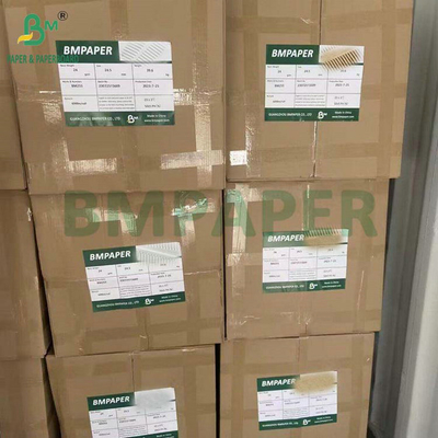 Gıda Sınıfı Ağartılmış Ağartılmamış 40GSM 50GSM Kahve Filtre Kağıdı Rulosu 1200mm