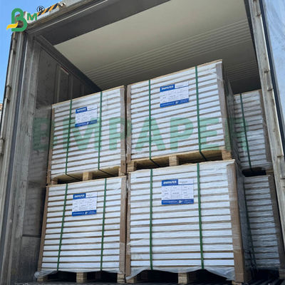 55gsm 60gsm Ncr Karbonsuz Otokopi Kağıdı Boş Uzatılmış Levhalar 70x100cm 61x86cm