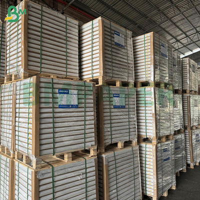 55gsm 60gsm Ncr Karbonsuz Otokopi Kağıdı Boş Uzatılmış Levhalar 70x100cm 61x86cm