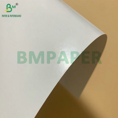 SBS Dondurulmuş Kartof PE Kaplama 325gm Dondurulmuş Karides Paketleme Kutusu Yapmak İçin