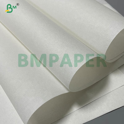50gsm Bleached Porous Filter Paper For Electric Drip Coffee Makers