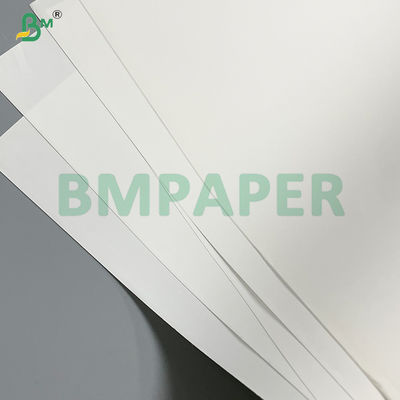 Yüksek kaliteli sanat kitapları ve albümleri için çevre dostu taş baskı kağıdı 300g